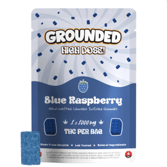 Grounded High Dose Bricks (1000mg) — Blue Raspberry