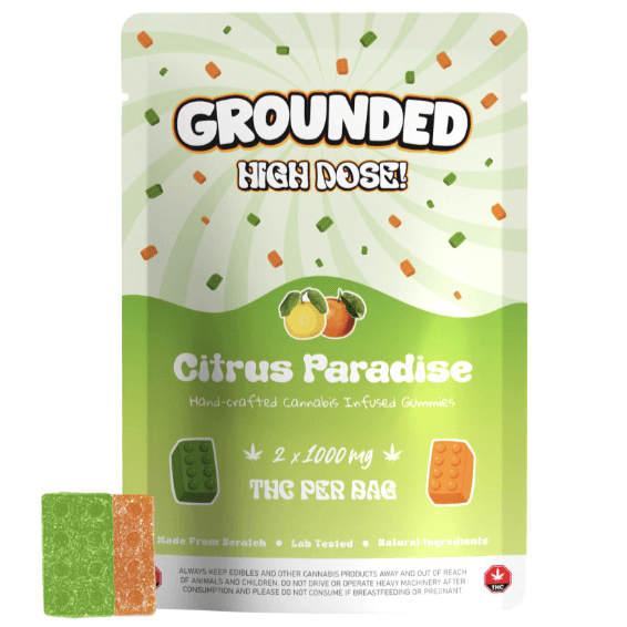 Grounded High Dose Bricks (2000mg) — Citrus Paradise
