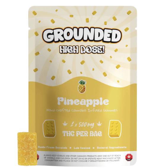 Grounded High Dose Bricks (500mg) — Pineapple