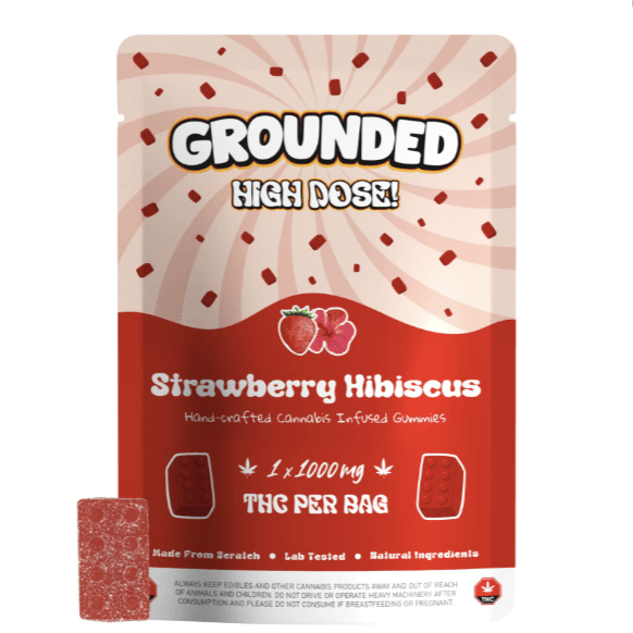 Grounded High Dose Bricks (1000mg) — Strawberry Hibiscus