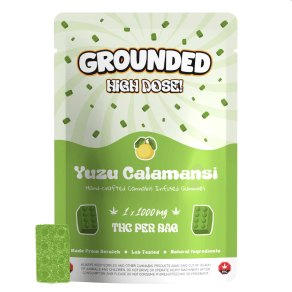 Grounded High Dose Bricks (1000mg) — Yuzu Calamansi