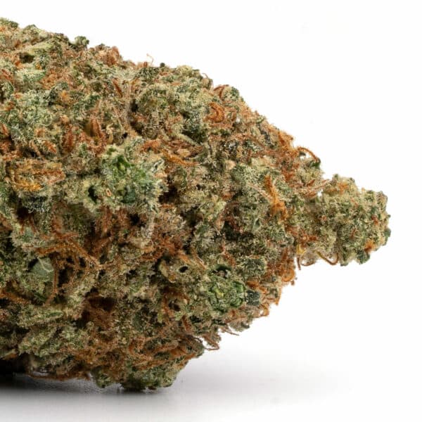 Alien OG strain buy weed online cheap weed online dispensary mail order marijuana