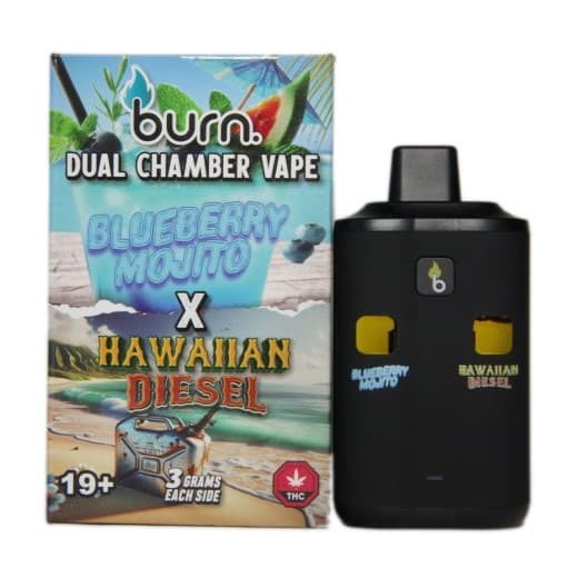 Burn 6 Gram Dual Chamber Disposable Vape (3+3 Gram) — Blueberry Mojito + Hawaiian Diesel