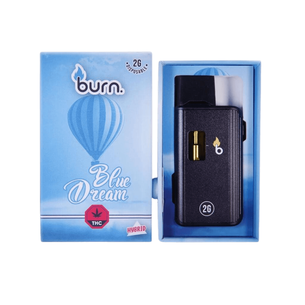 Burn Disposable Vapes (2 Gram) — Blue Dream