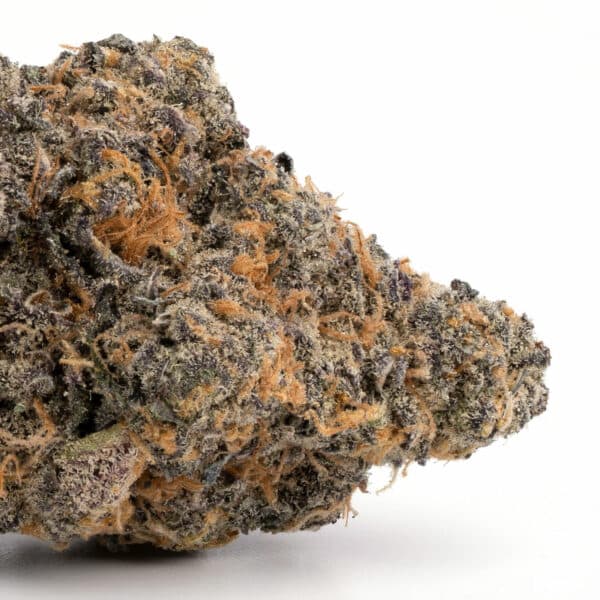 GMO Cookies strain buy weed online cheap weed online dispensary mail order marijuana