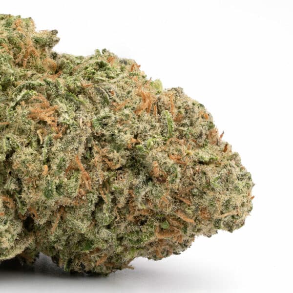 Jack Herer strain buy weed online cheap weed online dispensary mail order marijuana