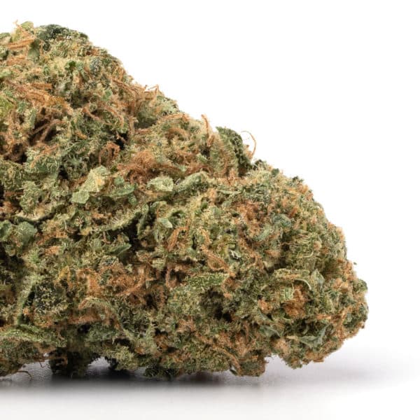 Jungle Cake strain buy weed online cheap weed online dispensary mail order marijuana