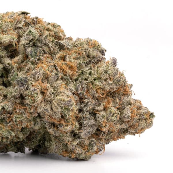 Sherbert strain buy weed online cheap weed online dispensary mail order marijuana