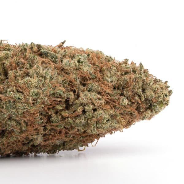 Super Lemon Haze strain buy weed online cheap weed online dispensary mail order marijuana