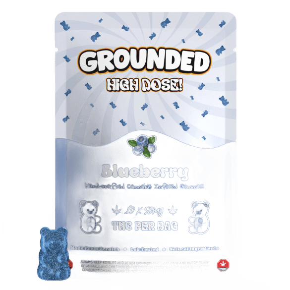 Grounded High Dose Bears (500mg) — Blueberry
