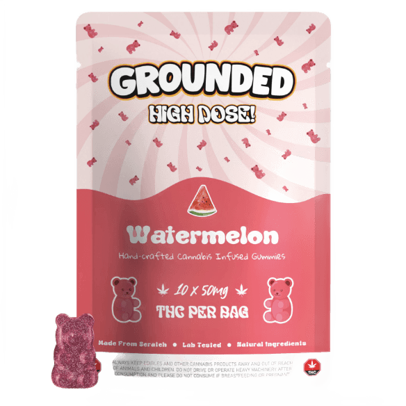 Grounded High Dose Bears (500mg) — Watermelon