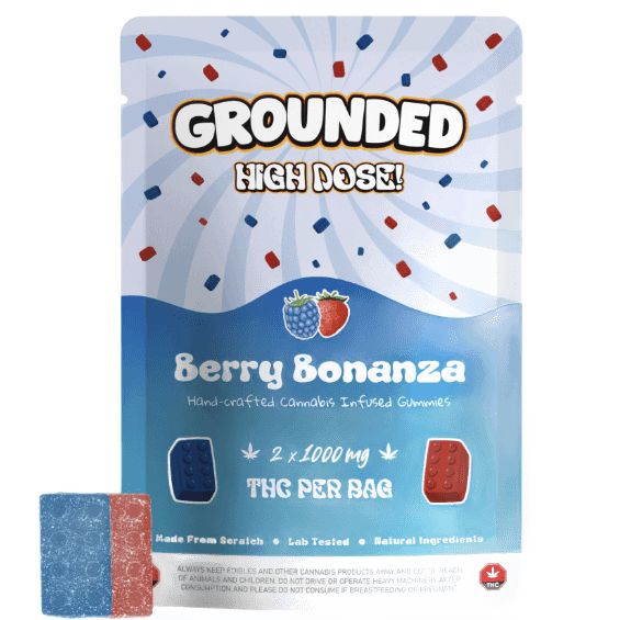 Grounded High Dose Bricks (2000mg) — Berry Bonanza