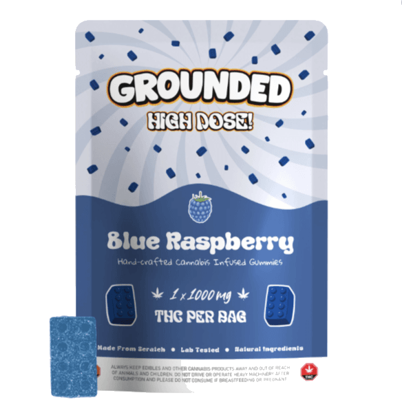 Grounded High Dose Bricks (1000mg) — Blue Raspberry