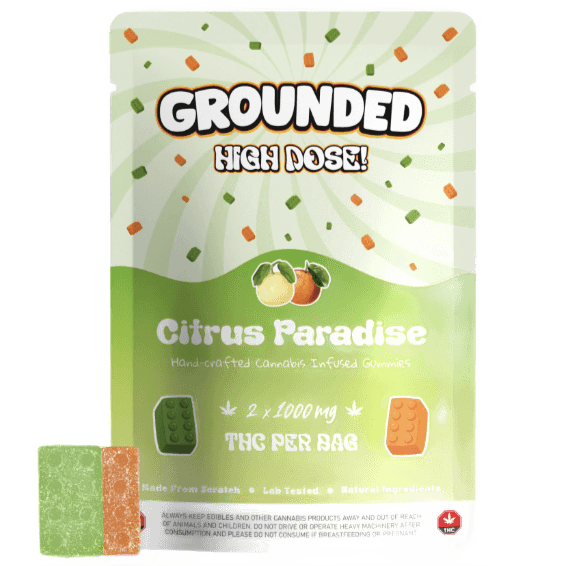Grounded High Dose Bricks (2000mg) — Citrus Paradise