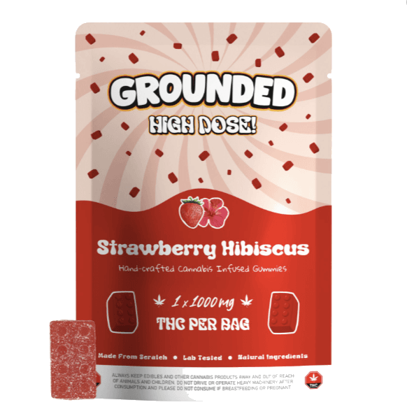 Grounded High Dose Bricks (1000mg) — Strawberry Hibiscus