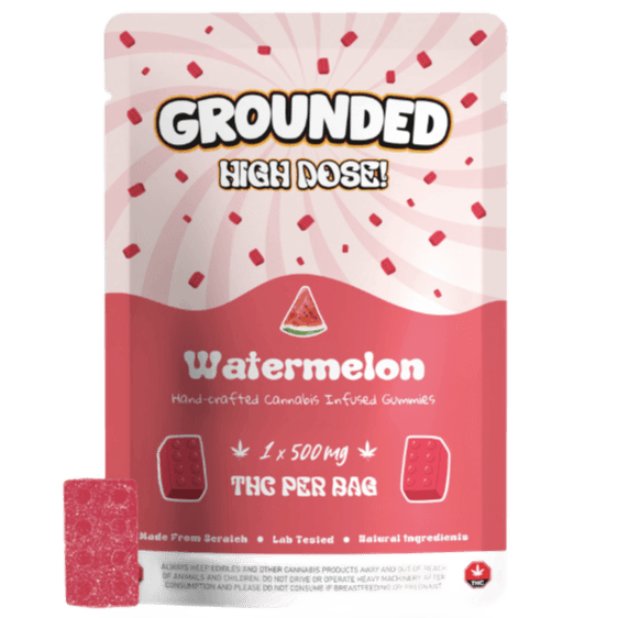 Grounded High Dose Bricks (500mg) — Watermelon