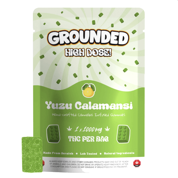 Grounded High Dose Bricks (1000mg) — Yuzu Calamansi