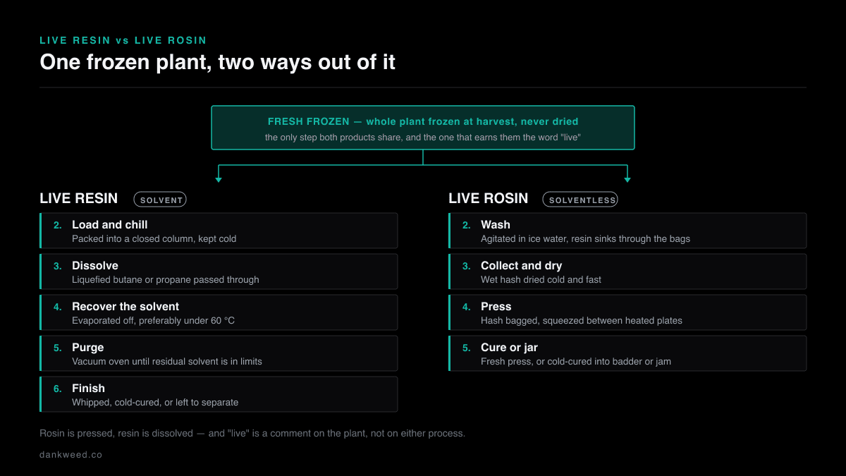 Flow diagram showing fresh-frozen cannabis splitting into two extraction routes: live resin is loaded and chilled, dissolved in butane or propane, the solvent recovered under 60 degrees Celsius, purged and finished; live rosin is washed in ice water, dried cold and fast, pressed between heated plates, then cured or jarred.