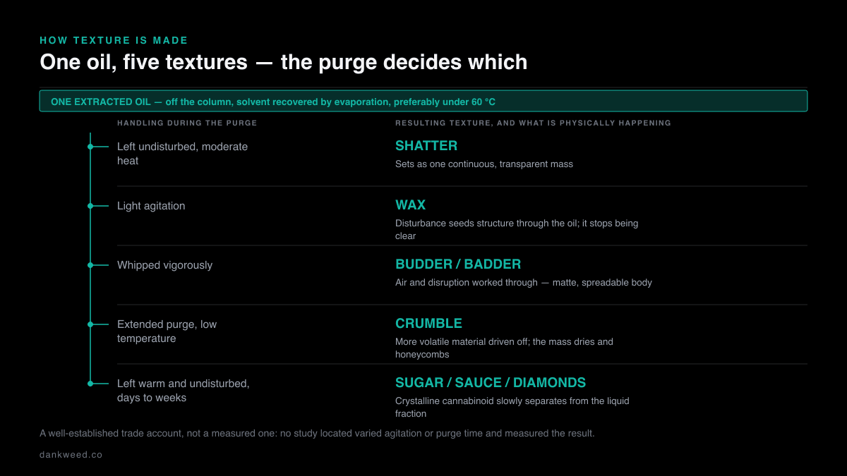 Diagram branching one extracted cannabis oil into five textures by how it is handled during the purge: left undisturbed gives shatter, light agitation gives wax, vigorous whipping gives budder or badder, an extended low-temperature purge gives crumble, and left warm and undisturbed it becomes sugar, sauce or diamonds.
