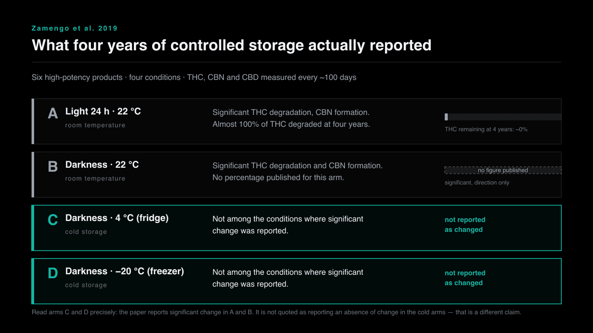 Diagram of the four storage conditions in the Zamengo 2019 four-year study: arms A and B at 22 degrees Celsius reported significant THC degradation and CBN formation, with almost 100 percent of THC degraded at four years in arm A, while the 4 degree fridge arm and the minus 20 degree freezer arm were not among the conditions reported as changed.